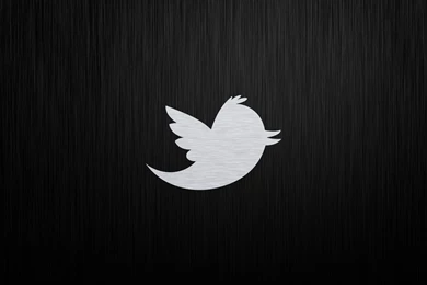 Twitter Logo Wallpaper 3.jpg