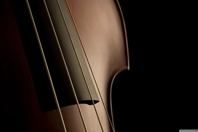 Double Bass Strings HD Desktop Wallpapers : High Definition ...