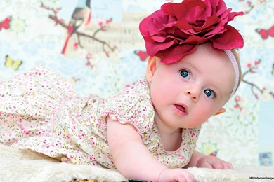 Baby Girl (id: 178724) – BUZZERG