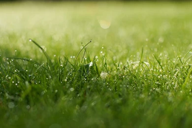 Super Aesthetic Green Wallpaper_High Definition Wallpapers ...