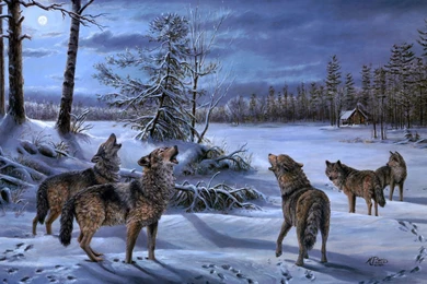 A Pack Of Wolves Howling At The Moon Wallpapers And Images ...