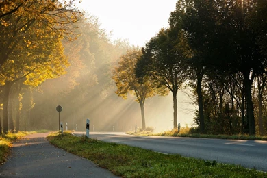 HD Good Morning Wallpapers Free Download ~ Toptenpack.com