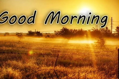 Top 10 Good Morning Friends Wallpaper For Facebook   TOPELY Source ...