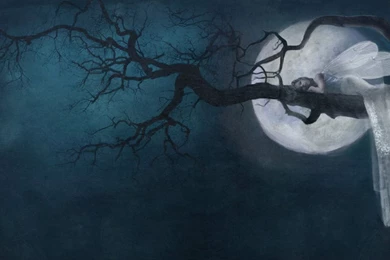 Hd Images, Windows Wallpaper, Images For Iphone, Tablet Desktop ...