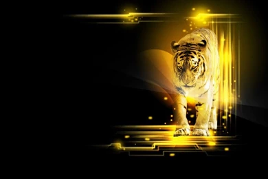 Top Ten HD Wallpapers Free Download