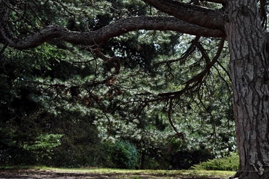 2160x1440 Wallpapers Crimea. Fine Free Backgrounds Wallpapers