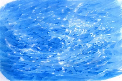 Rubberslug   Share Backgrounds