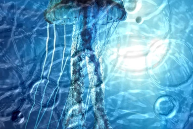 Live Wallpapers For Windows 7, 8, Vista, XP