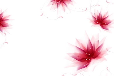Floral Background Images  free Pictures