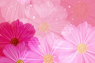 900x632px Floral Image Pink Backgrounds