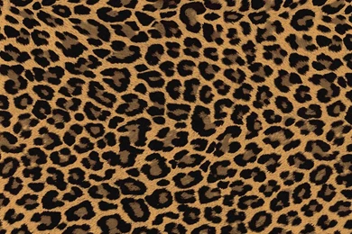 Leopard Skin Wallpapers Wide