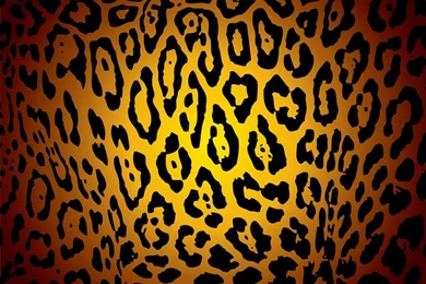 Jaguar Skin