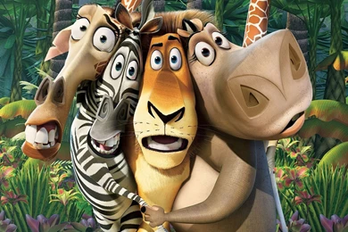 Madagascar Film Wallpapers HD Free Download For Desktop