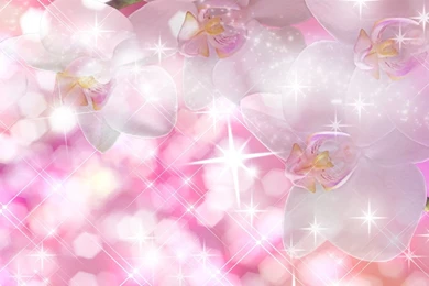 Sparkle Wallpapers   Wallpapers Cave