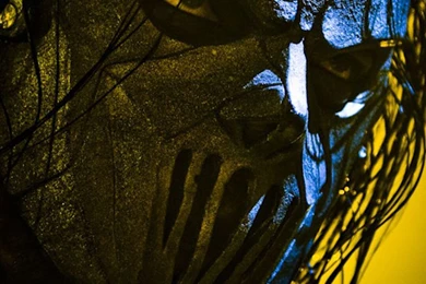 Mick Thomson Slipknot iPhone Wallpaper.jpg