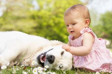Cute Baby Girl Happy With Dog Wallpapers