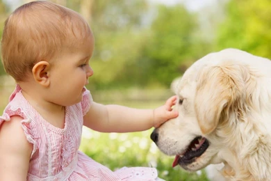 Cute baby and dog wallpaper.jpg