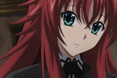 Rias Gremory ♥   High School DXD Wallpapers (36402414)   Fanpop