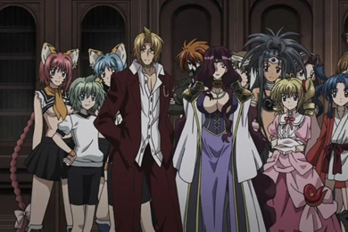 Wallpapers High School Dxd Nature Fond D Cran Photos 1280x720 ...