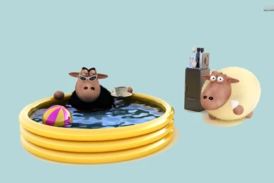 Evil Black Sheep Wallpapers   Funny Wallpapers