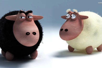 Black And White Sheep Wallpapers   Digital Art Wallpapers