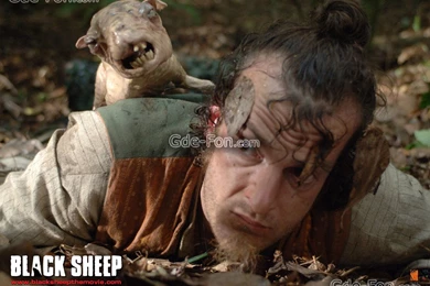 18922_parshivaya ovca_or_black sheep_1600x1200_www.Gde Fon.com.jpg