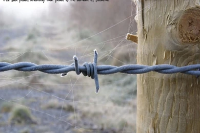 Linux Desktop Free Linux Centos Wallpapers   1600x1200   481813