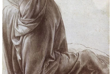 Leonardo Da Vinci Wallpapers   (