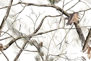 Mossey Oak Camo On Pinterest