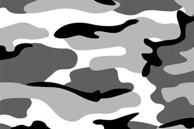 Winter Camo Wall Mural   Contemporary   Wallpapers   By Murals Your Way