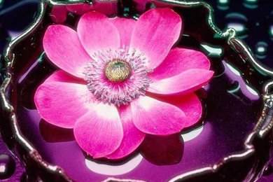 Wallpapers On Pinterest