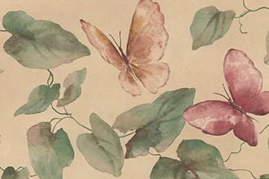 451 1685 Cream Lily Pad Butterfly   Brewster Wallpapers Borders