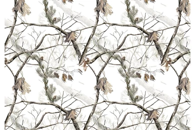 Amazon.com: Camowraps Window Film Sheet (4 X 5.5 Feet, Realtree AP ...