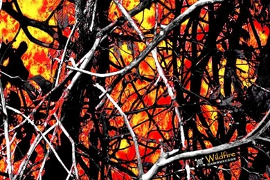 48"x35' Wallpapers   Camo Addiction