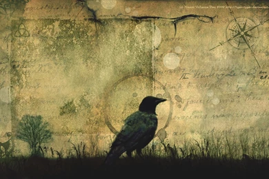 Ksu Picss: Top Wa11papers: Edgar Allan Poe Wallpapers