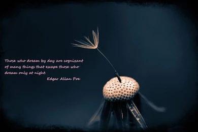Edgar Allan Poe Quotes 3   Edgar Allan Poe Wallpapers