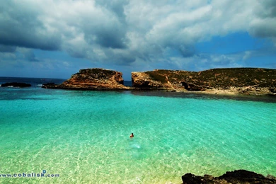 Giving Back To The Web, The Art, Photography, Poetry And Recipes ...