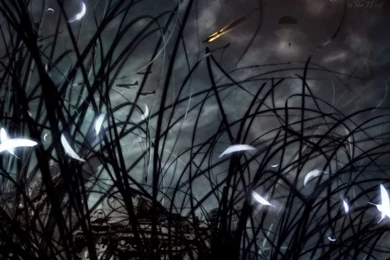 Wallpapers Metal Mulisha Terror Fondos De Imagenes 1280x960 ...