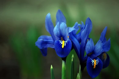 David Bryant Designer   Rates And Services