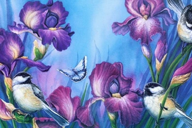 1920x1080 Purple Iris & Birds Desktop PC And Mac Wallpapers