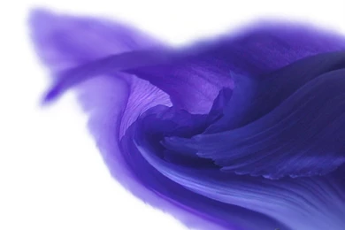 Soulflower Studio Fine Art Photography: PC Wallpapers