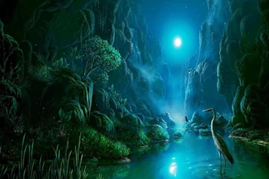 Lagoon Wallpapers   (