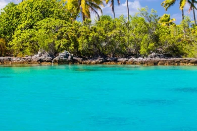 Exotic Blue Lagoon HD Wallpapers