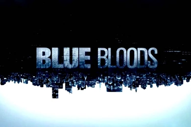 Blue Bloods Music   Season 1 Episode 18 (1x18)   YouTube