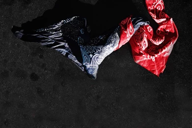 Crips And Bloods: Made In America (2008) • Peliculas.film cine.com