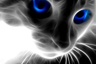 Images 3D Wallpapers   Wallpapers Cave