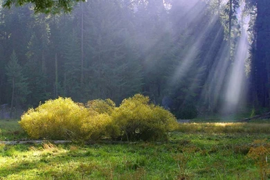 1024x768 Ray Of Heaven Desktop PC And Mac Wallpapers