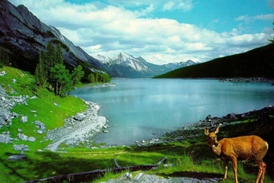 Most Beautiful Backgrounds   Wallpapers Cave