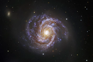 File:Messier 100 And Supernova SN 2006X (wallpaper).jpg ...