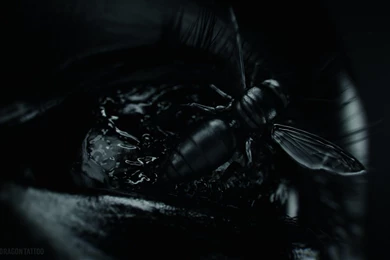 Dragon Tattoo Wallpapers   Wallpapers Cave